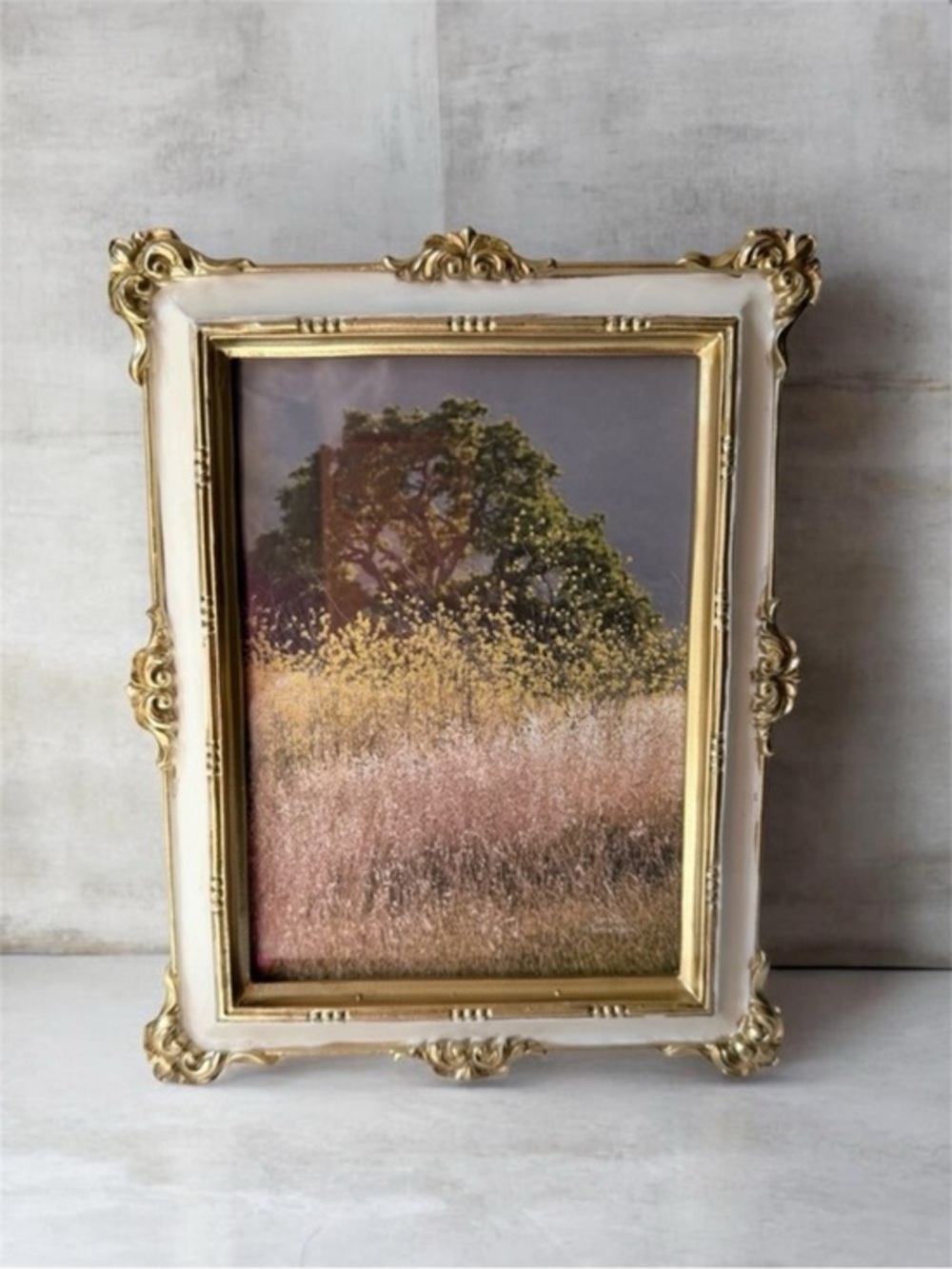 Vintage-Style Gold and Cream Ornate Photo Frame - Home Accents